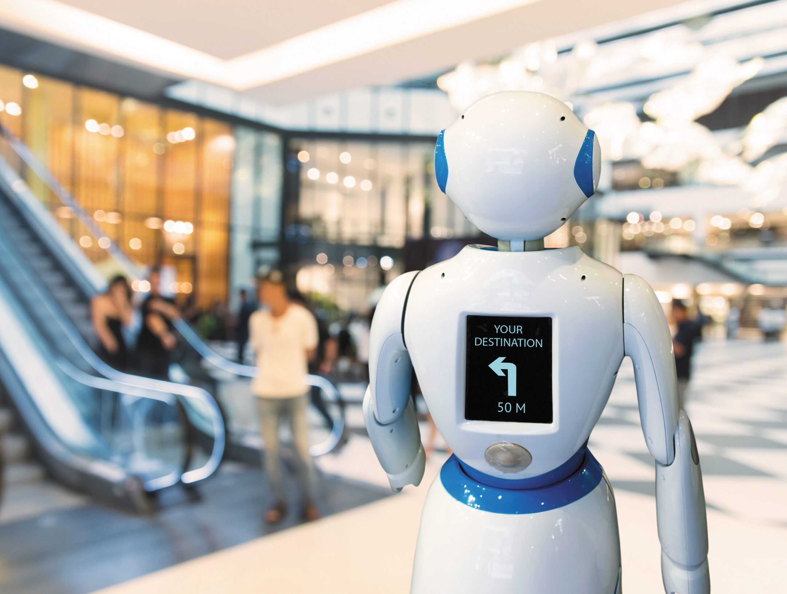 Rise of Retail Robots